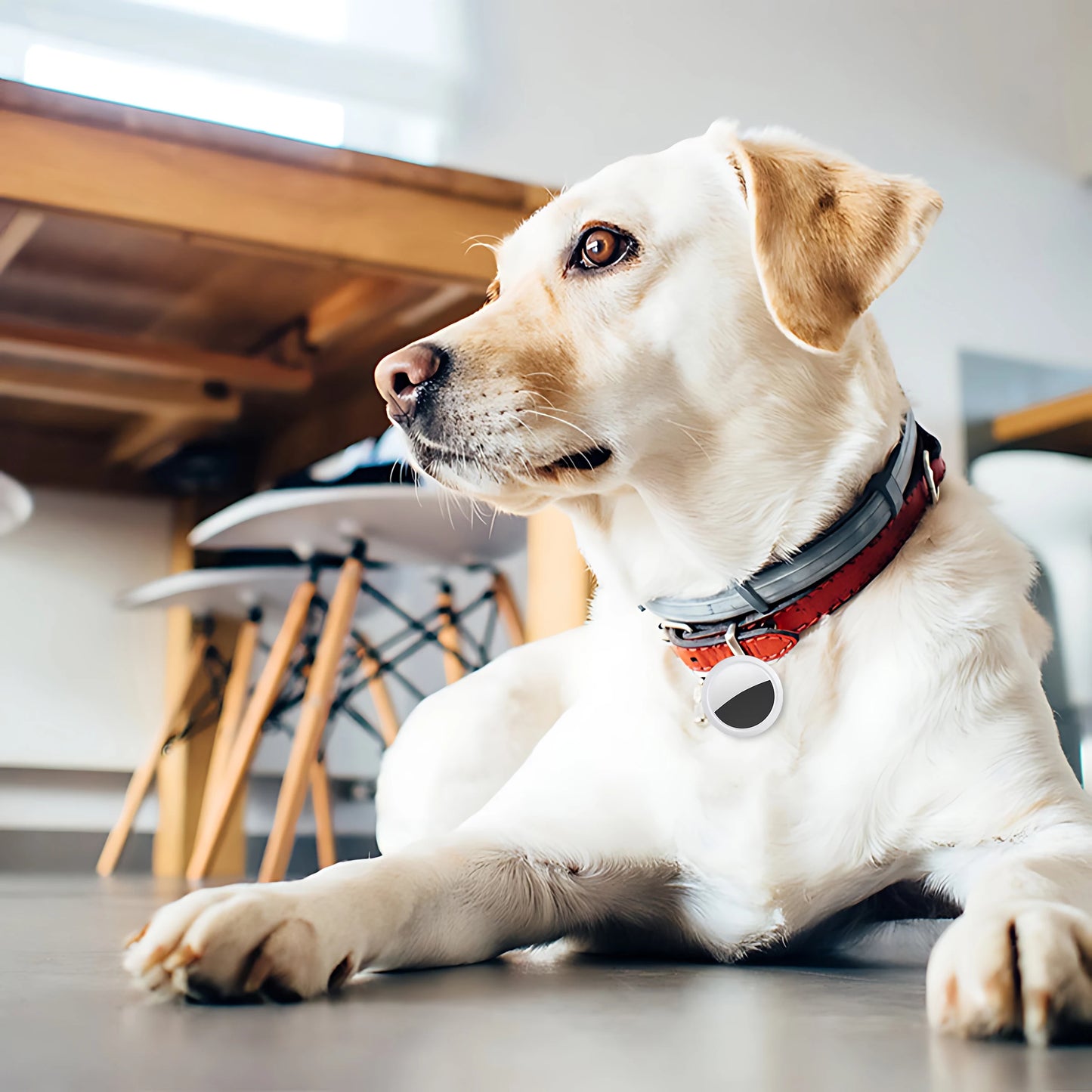 Mini GPS Tracker - Anti-Loss GPS Locator for Keys and Pets